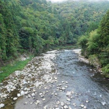 DSCN1110.JPG