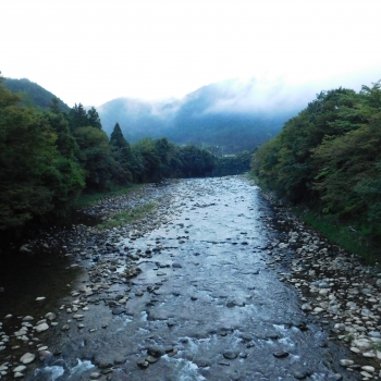 DSCN1113.JPG