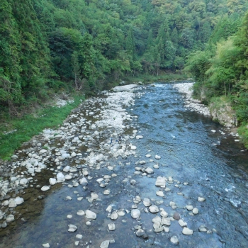DSCN1114.JPG