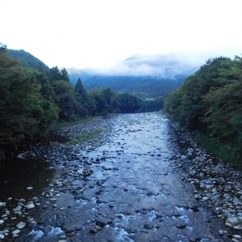 DSCN1117.JPG