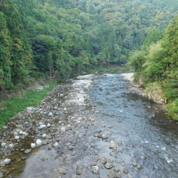 DSCN1118.JPG