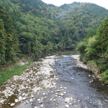 DSCN1122.JPG