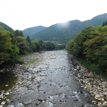 DSCN1125.JPG