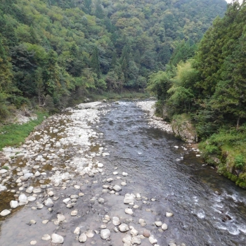DSCN1126.JPG
