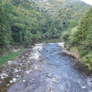 DSCN1130.JPG