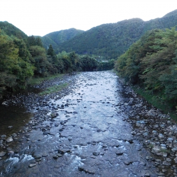 DSCN1133.JPG