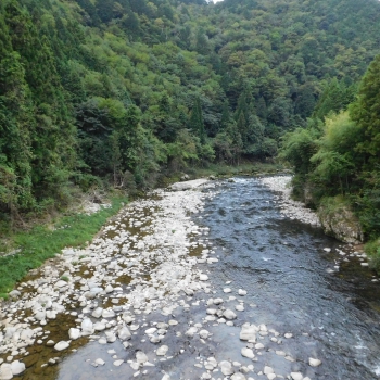 DSCN1134.JPG