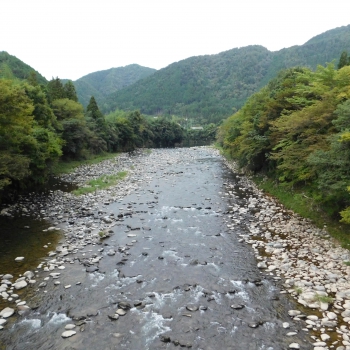 DSCN1137.JPG