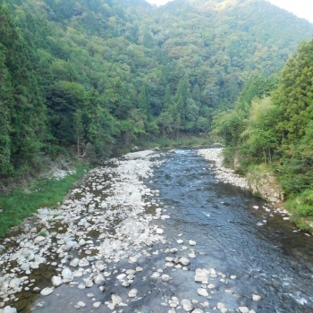DSCN1138.JPG