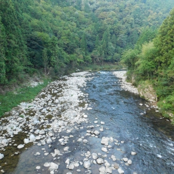 DSCN1143.JPG