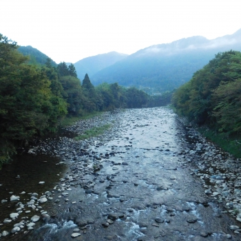 DSCN1146.JPG