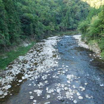 DSCN1147.JPG