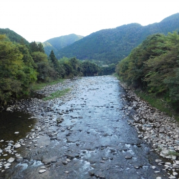 DSCN1154.JPG
