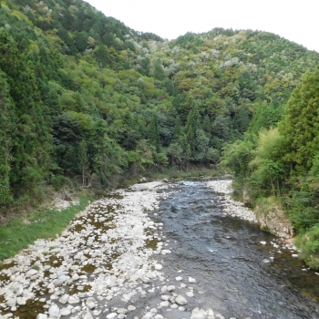 DSCN1160.JPG