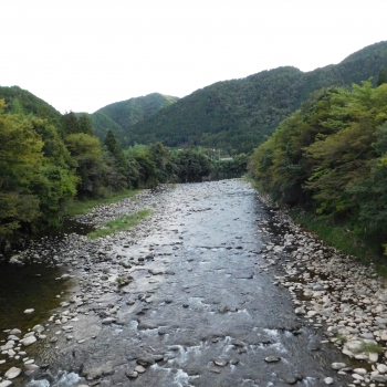 DSCN1163.JPG