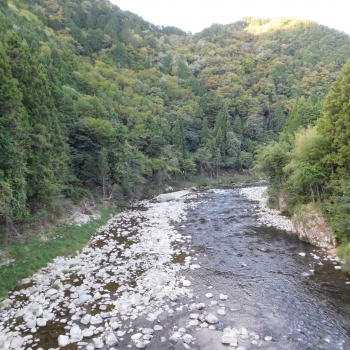DSCN1164.JPG