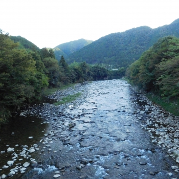 DSCN1167.JPG