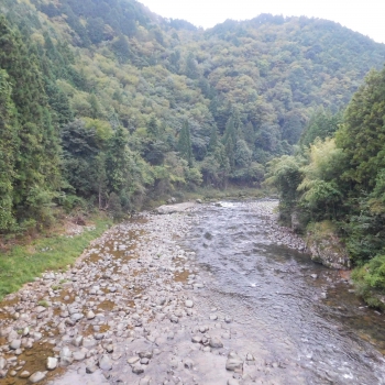 DSCN1168.JPG