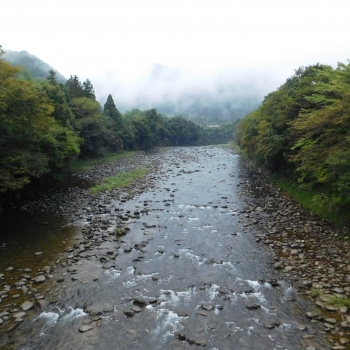 DSCN1171.JPG