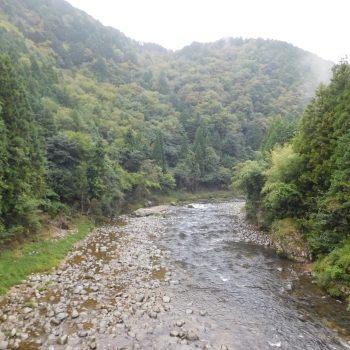 DSCN1234.JPG