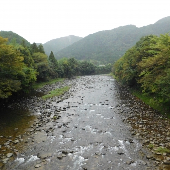 DSCN1237.JPG