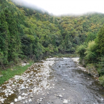 DSCN1240.JPG