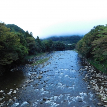 DSCN1243.JPG