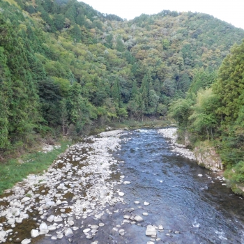 DSCN1244.JPG