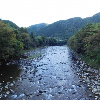 DSCN1247.JPG