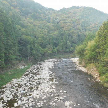 DSCN1248.JPG
