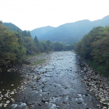 DSCN1251.JPG
