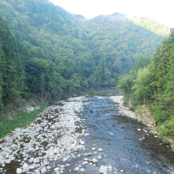 DSCN1252.JPG