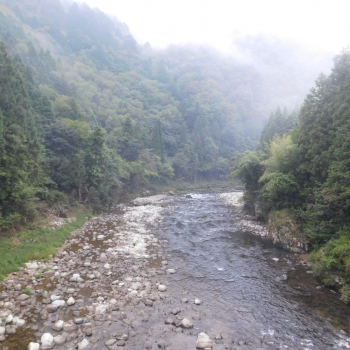 DSCN1256.JPG