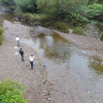 DSCN1268.JPG