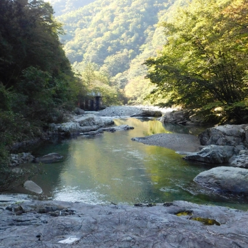 DSCN1423.JPG