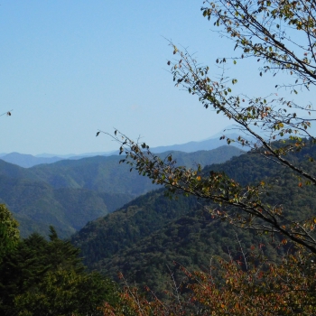 DSCN1448.JPG