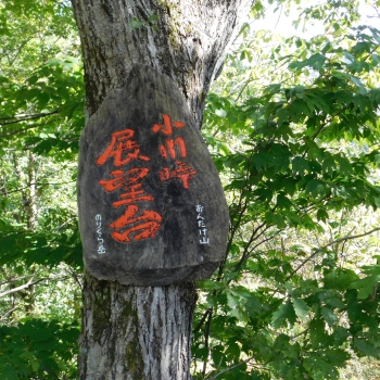 DSCN1449.JPG