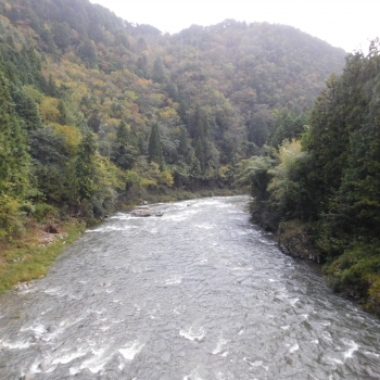 DSCN1614.JPG