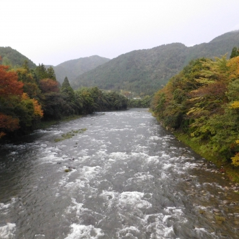 DSCN1617.JPG