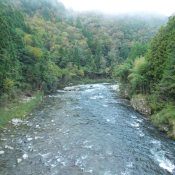 DSCN1618.JPG