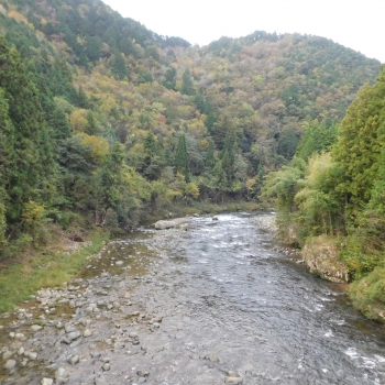 DSCN1634.JPG