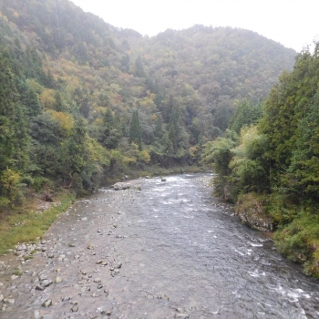 DSCN1639.JPG