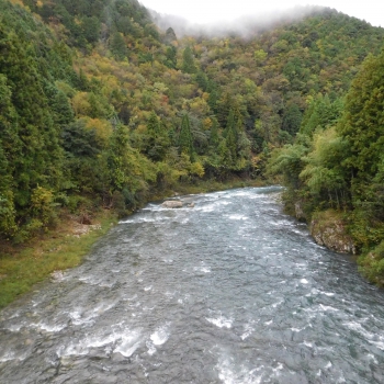DSCN1643.JPG