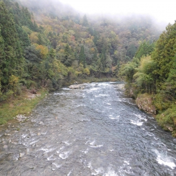 DSCN1647.JPG