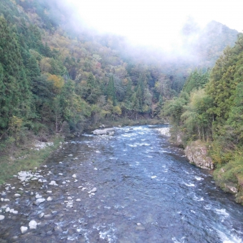 DSCN1651.JPG