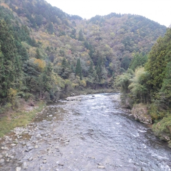 DSCN1655.JPG