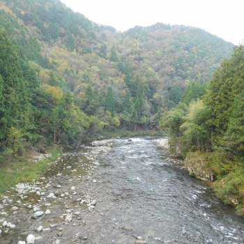 DSCN1659.JPG
