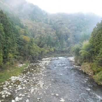 DSCN1676.JPG