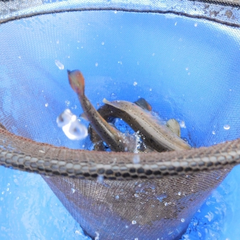 DSCN1736.JPG