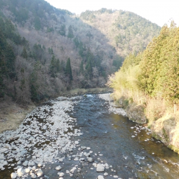 DSCN1847.JPG